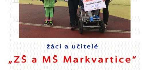 ZS a MS Markvartice